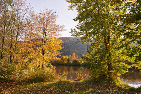 Gemeinde Obernzell Landkreis Passau Erlau Donaumündung Herbst (Dirschl Johann) Deutschland PA